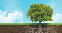 Fruitful Christian Trees